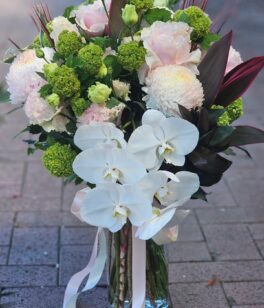 Img 20251008 172230 964