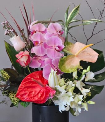 Img 20251008 220805 634